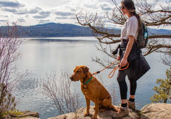 NOBO Leash | Corso - Image 5